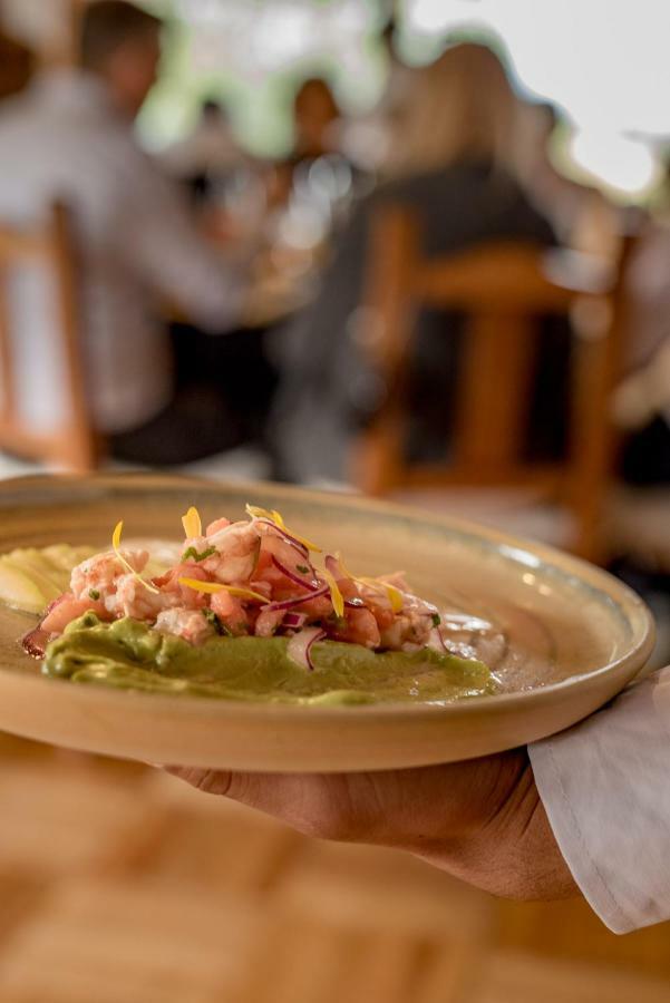 Spring Creek Lodge Junín de los Andes 外观 照片